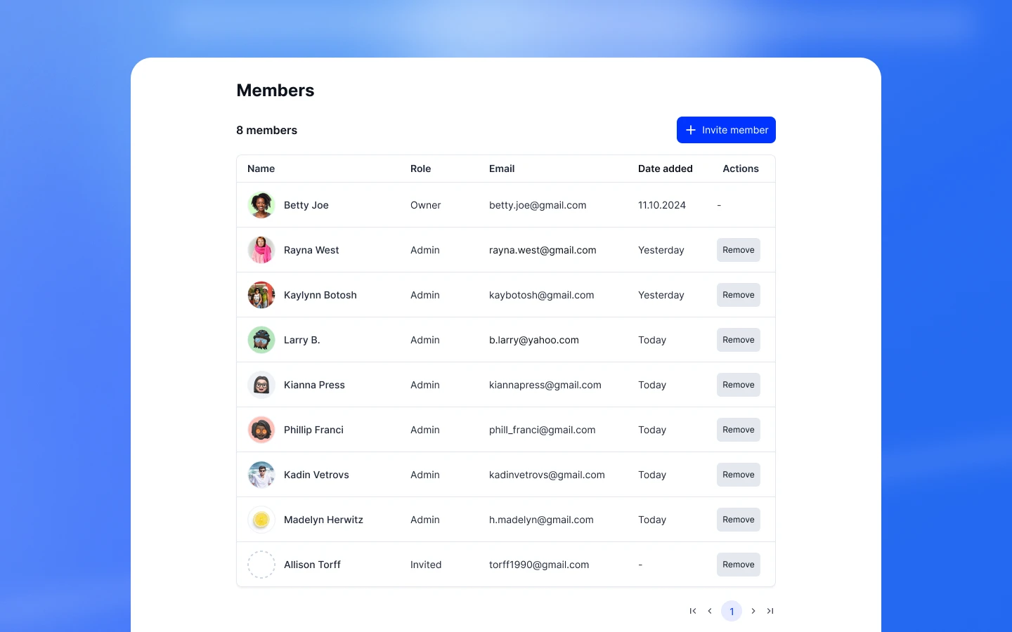 Team Members list view showing assigned roles and permissions